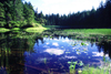 Brooks range, Alaska: small lake - photo by E.Petitalot