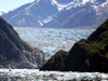 Alaska's Inside Passage - Tracy Arm Fjord : South Sawyer Glacier (photo by Robert Ziff)