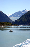 Alaska's Inside Passage - Tracy Arm Fjord : South Sawyer Glacier - approaching (photo by Robert Ziff)