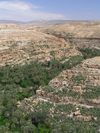 Algeria / Algerie - Gorges de Tighanimine - El Abiod - Batna wilaya -  Massif des Aurs - village and oasis - photo by J.Kaman