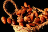 Algeria / Algrie - Biskra: Dates in a basket - Deglet Noor / tamaras - photo by C.Boutabba