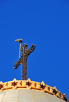 Algiers / Alger - Algeria: Notre Dame d'Afrique basilica - cross | Basilique Notre-Dame d'Afrique - croix - photo by M.Torres