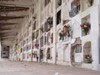 Argentina - Salta - Cemetery - bone niches - images of South America by M.Bergsma