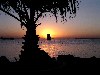 Argentina - Miramar (Cordoba province): Laguna Mar Chiquita - sunset over a flooded area - photo by Captain Peter