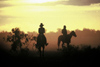 Australia - Cattle Station (NT): stockmen at sunset - photo by  Picture Tasmania/Steve Lovegrove