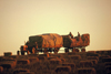 Australia - South Australia: farm scene - agriculture - tractor - photo by Picture Tasmania/S.Lovegrove