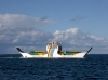 Australia - Fraser Island (Queensland): Ferry crossing at Hook Point - photo by Luca Dal Bo