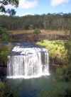 Australia - Tablelands (Queensland): Millstream Fall - photo by Luca Dal Bo