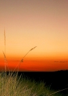 Australia - Gregory NP - Gregory NP: dusk(photo by Luca dal Bo