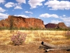 Australia - Bungle Bungle NP (WA): View from Lookout point - photo by Luca dal Bo