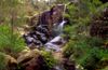 Grampians National Park, Victoria, Australia: Turret Falls and vegetation - photo by G.Scheer