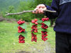 Quba: selling berries by the road (photo by F.MacLachlan / Travel-Images.com)