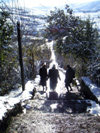 Azerbaijan - Lerik: women descending steps - winter - photo by A.Kilroy