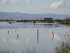 Azerbaijan - Narimanabad: calm waters of the Caspian sea, with Talysh mountains in background (photo by A.Kilroy)