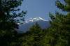 Bhutan - trees and Himalaya peaks, seen from the Haa valley - photo by A.Ferrari