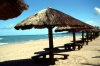 Brazil / Brasil - Maragoji / Maragogi (Alagoas): parasols on the beach / parasois na praia - photo by F.Rigaud