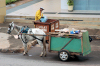 Brazil / Brasil - Brasilia: recycling - quadra 413 asa norte 03 / reciclando (photo by M.Alves)