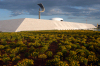 Brazil / Brasil - Brasilia: vegetation by the Juscelino Kubitschek de Oliveira mausoleum / vegetao (photo by M.Alves)