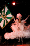 Rio de Janeiro, RJ, Brasil / Brazil: flag-bearer  - Carnival dancer - Mocidade Independente de Padre Miguel samba school / escola de samba Mocidade Independente de Padre Miguel - porta-bandeira - photo by D.Smith