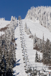 Kamloops, BC, Canada: Sun Peaks skiing resort - chairlifts, ski slopes, snow, trees, mountains and blue sky - Tod Mountain - photo by D.Smith