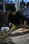 Valdivia, Los Ros, Chile: fisherman display their catch at the Feria Fluvial, the local fish and vegetable market - fresh fish - photo by C.Lovell