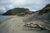 Anihue Bay, Aisn region, Chile: isthmus and Pacific Ocean beach - temperate rain forest of northern Patagonia - photo by C.Lovell