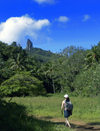 Cook Islands - Rarotonga island: trekking inland - photo by B.Goode