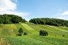 Croatia - Varazdin county: fields - photo by P.Gustafson