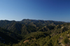 Troodos mountains - Nicosia district, Cyprus: forest area - photo by A.Ferrari