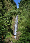 Dominica - Inland water falls - Morne Trois Pitons National Park - Unesco world heritage site - photo by G.Frysinger