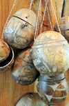 El Catey, Saman province, Dominican republic: bottles made of gourds - Dominican handicrafts - Saman El Catey International Airport - photo by M.Torres