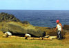 Easter Island - Moai being prepared for restoration - photo by Rod Eime