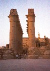 Egypt - Luxor: in between columns (photo by Miguel Torres)