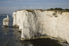 Old Harry Rocks, Jurassic Coast, Dorset, England: white cliffs and the Pinnacles - UNESCO World Heritage Site - photo by I.Middleton