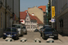 Estonia - Tartu / TAY (Tartumaa province): turtles on the street (photo by A.Dnieprowsky)