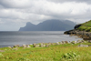 Elduvik village, Eysturoy island, Faroes: view of the cliffs of Kalsoy - photo by A.Ferrari