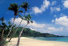 Nacula Island, Yasawa group, Fiji: idyllic tropical beach with white sand, coconut trees and turquoise water - photo by C.Lovell