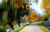 La Varenne, Val-de-Marne, Ile-de-France: road and bike lane along the river Marne - photo by Y.Baby