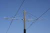 Le Havre, Seine-Maritime, Haute-Normandie, France: overhead line - tramway power lines - photo by A.Bartel