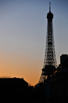 Paris, France: Eiffel Tower silhouette and mansard roofs of Rue de Grenelle at dusk - view from Les Invalides - photo by M.Torres