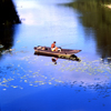 Saumur, Maine-et-Loire, Pays de la Loire, France: angler on a small boat on the Loire river - blue sky reflection - photo by A.Bartel