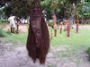 Cap Estrias, Estuaire province, Gabon: Gabonese art - sculpture - African mask - photo by B.Cloutier