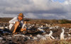 Isla Espaola / Hood Island, Galapagos Islands, Ecuador: tourist photographing Blue-footed Booby birds at close range (Sula nebouxii) - photo by C.Lovell