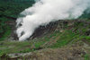 Isla Isabela / Albemarle island, Galapagos Islands, Ecuador: volcanic fumerole in the Alcedo crater - photo by C.Lovell