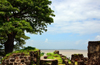 James Island / Kunta Kinteh island, The Gambia:  Fort James - baobab and view over the River Gambia - UNESCO world heritage site - photo by M.Torres