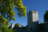 Gotland - Visby: northern wall - ringwall - photo by A.Ferrari