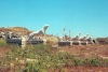 Greek islands - Delos / Dilos / Dylos: the Naxian Lions stand guard over the northern access to the sanctuary (photo by B.CLoutier)