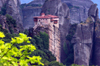 Greece - Meteora: Holy Monastery of Rousanou - UNESCO World Heritage Site - leaves - photo by A.Dnieprowsky