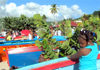 Grenada - fishingboat regatta - photo by P.Baldwin