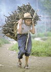 Guatemala - Lago de Atitln: old man with firewood (photo by A.Walkinshaw)